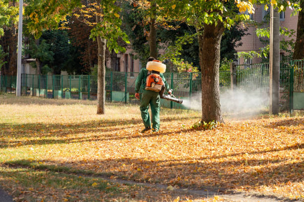 Professional Pest Control in Wilsonville, OR